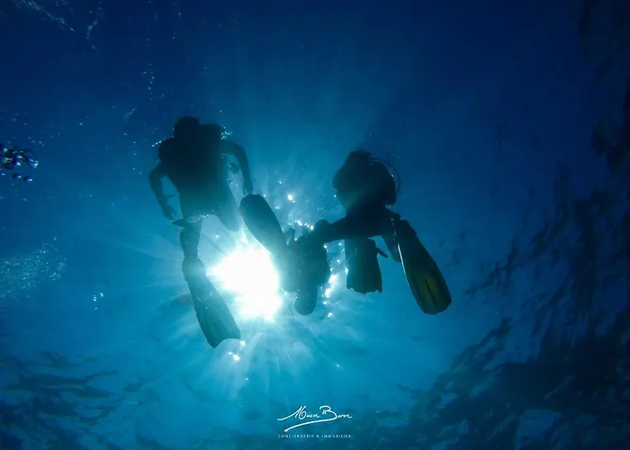 Lumineux 4 Couchages Avec Terrasse A 500m De La Plage, Parking Gratuit Apartman