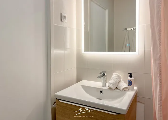 Lumineux 4 Couchages Avec Terrasse A 500m De La Plage, Parking Gratuit * Six-Fours-les-Plages